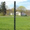 Garden Zone Garden Craft 18 in. H X 50 ft. L Galvanized Steel Poultry Netting 1 in. 161850 - alternate 3